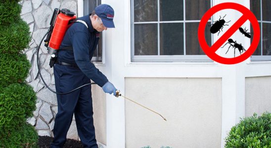 Kaş Haşere İlaçlama böcek ilaçlama ve haşere kontrolü — ilaclama-tr.com